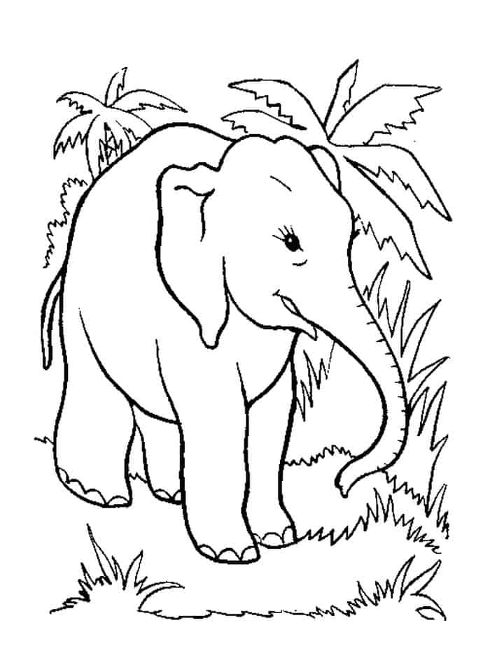 Free Elephant Coloring Pages