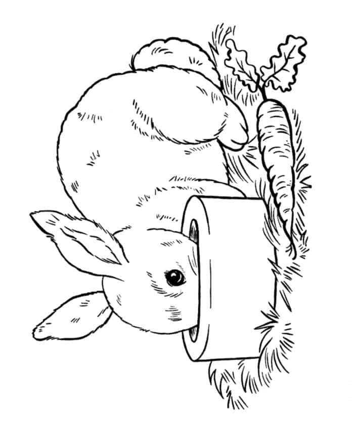 Free Printable Bunny Rabbit Coloring Pages
