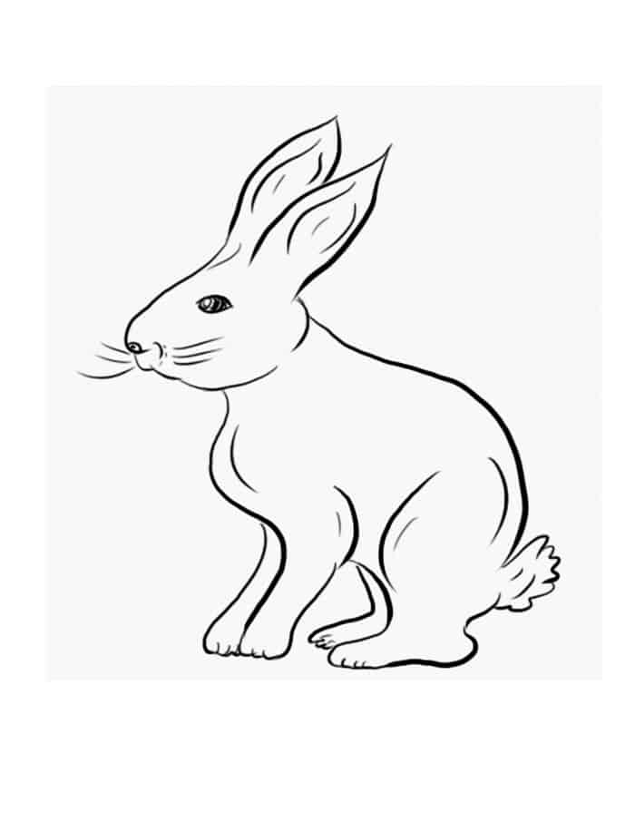 Free Printable Coloring Pages For Kids Rabbit
