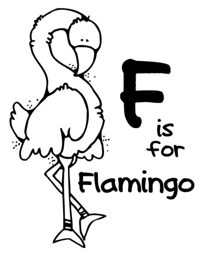 Free Printable Coloring Pages Zoo Animals