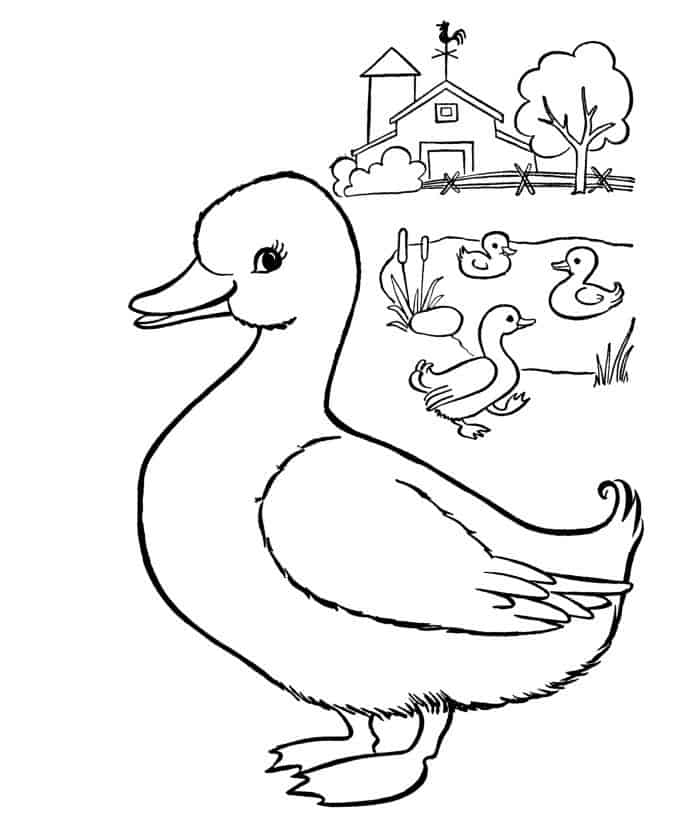 Free Printable Duck Coloring Pages