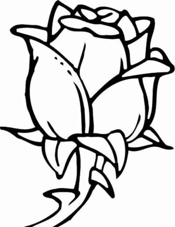 Free Printable Rose Coloring Pages