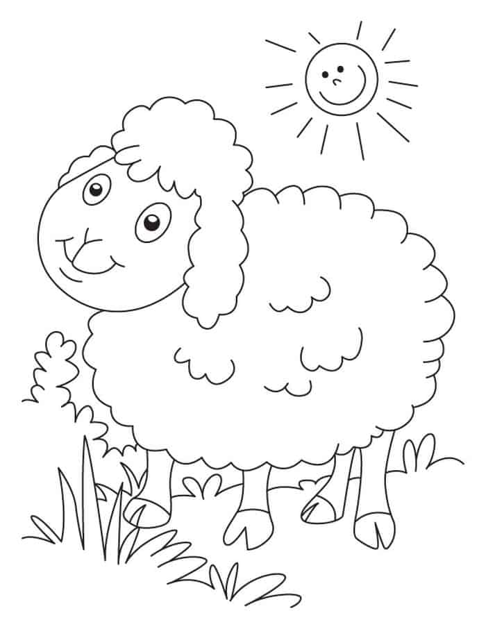Free Printable Sheep Coloring Pages