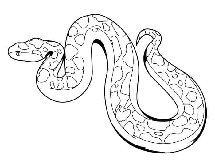 Free Zoo Animals Coloring Pages