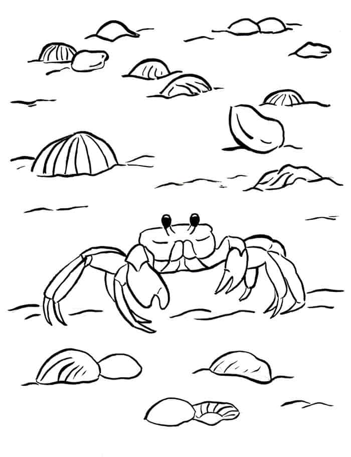 Ghost Crab Coloring Pages