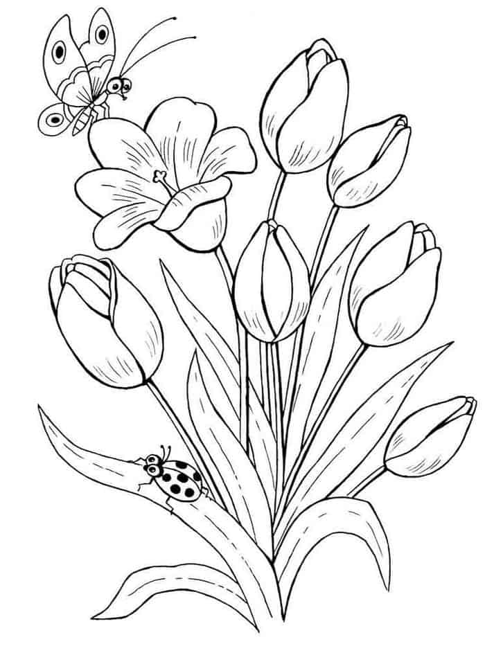 Grayscale Tulip Coloring Pages To Print