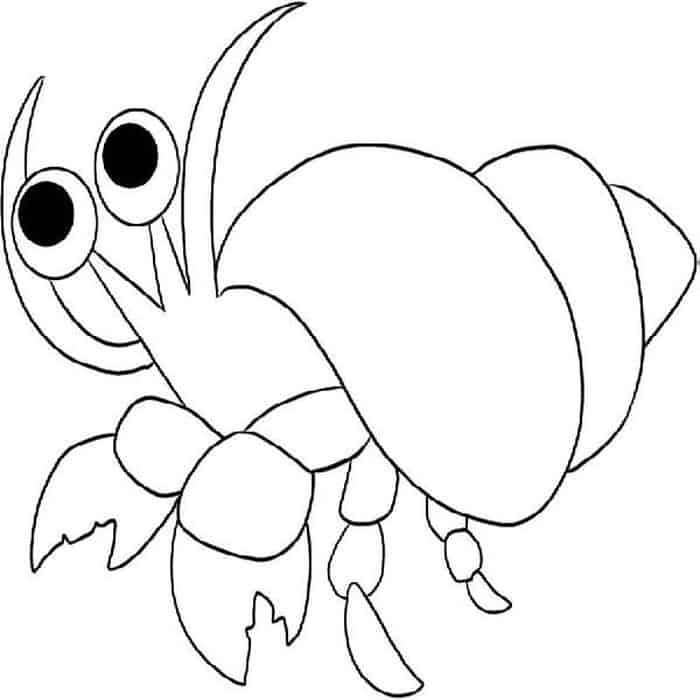 Hermit Crab Coloring Pages