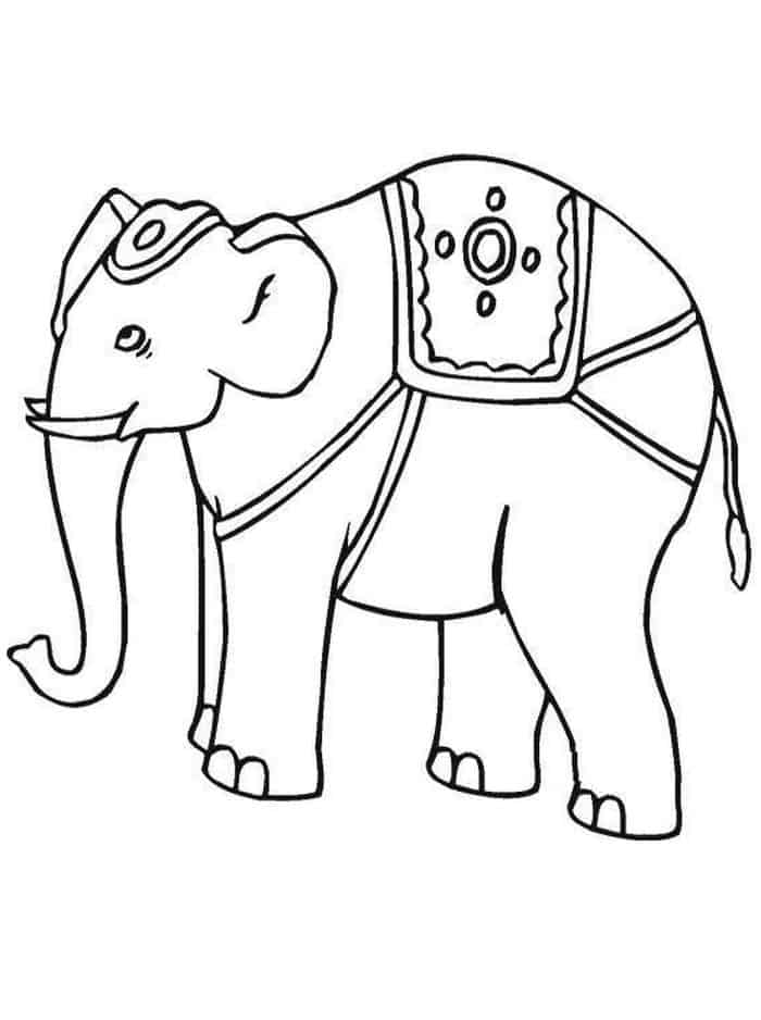 Indian Elephant Coloring Pages Printable