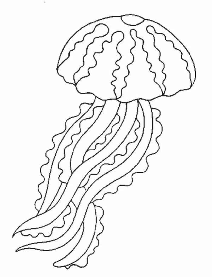 Jelly Fish Coloring Pages