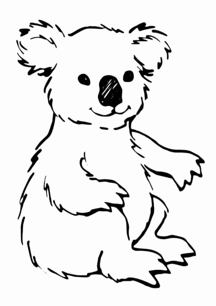 Koala Bear Coloring Pages
