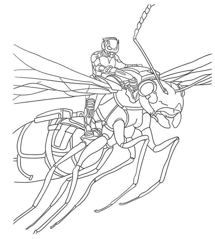 Marvel Coloring Pages Ant Man