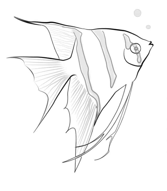 Ocean Fish Coloring Pages