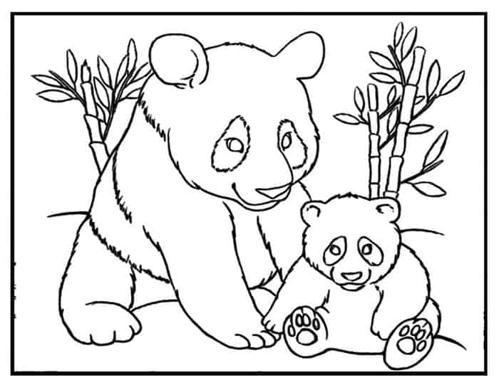 Panda Bear Coloring Pages