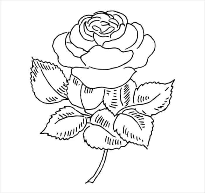 Pretty Rose Coloring Pages