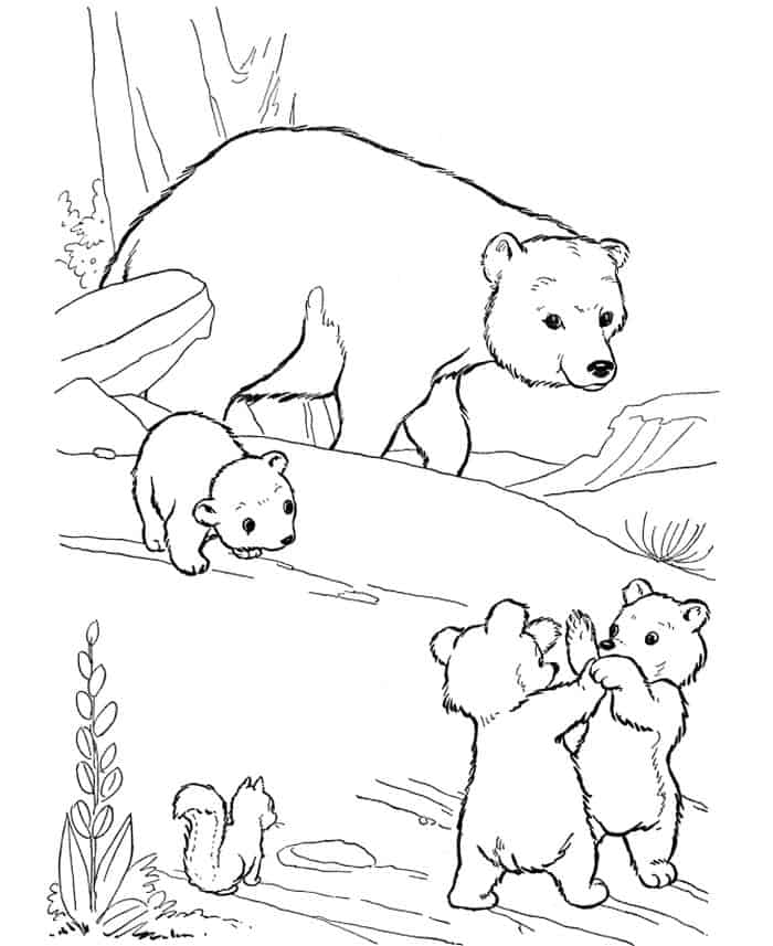 Printable Bear Coloring Pages
