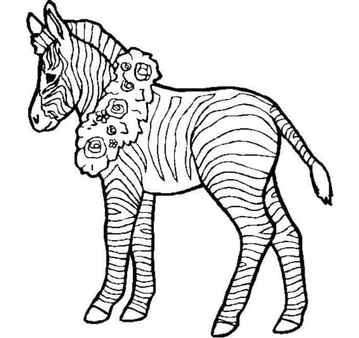 Printable Coloring Pages Of A Zebra