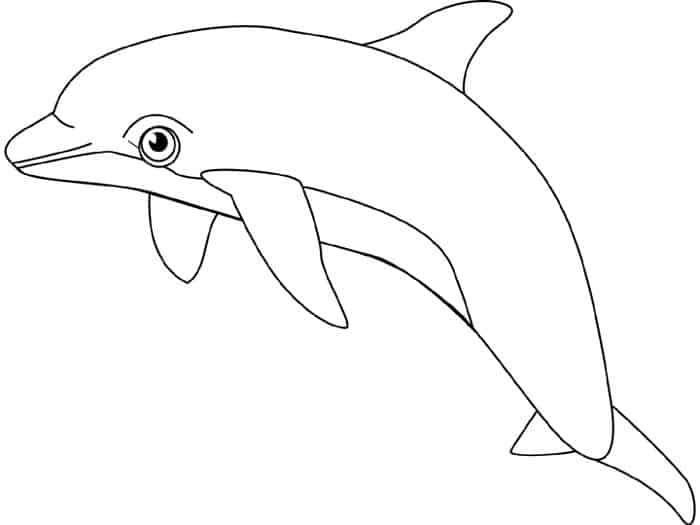 Printable Dolphin Coloring Pages