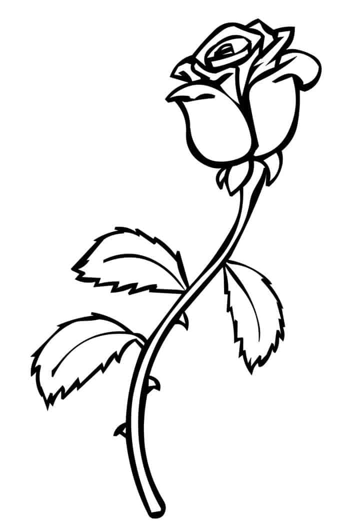 Printable Rose Flower Coloring Pages