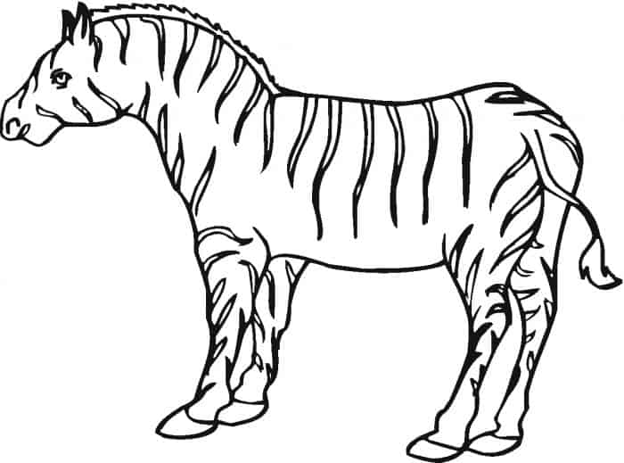 Printable Zebra Coloring Pages