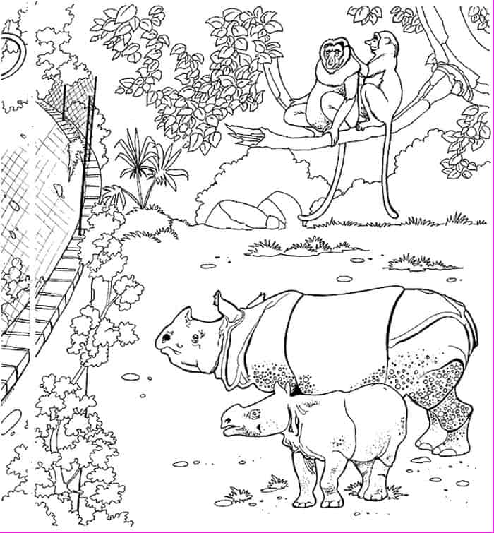 Printable Zoo Animals Coloring Pages