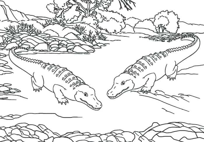 Printable Zoo Coloring Pages