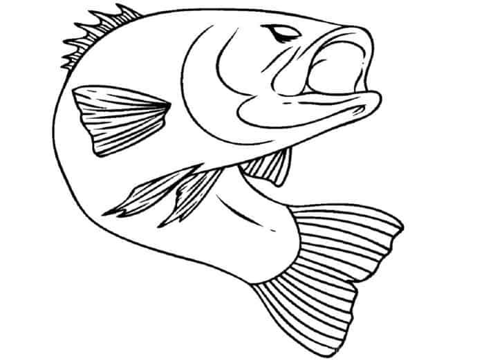 Realistic Fish Coloring Pages