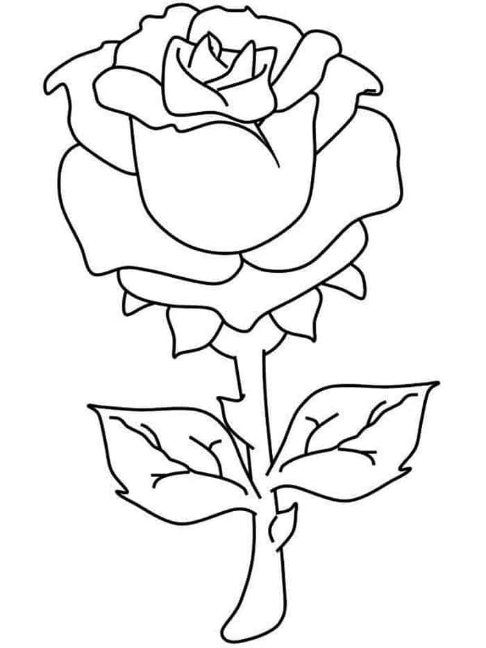 Realistic Rose Coloring Pages