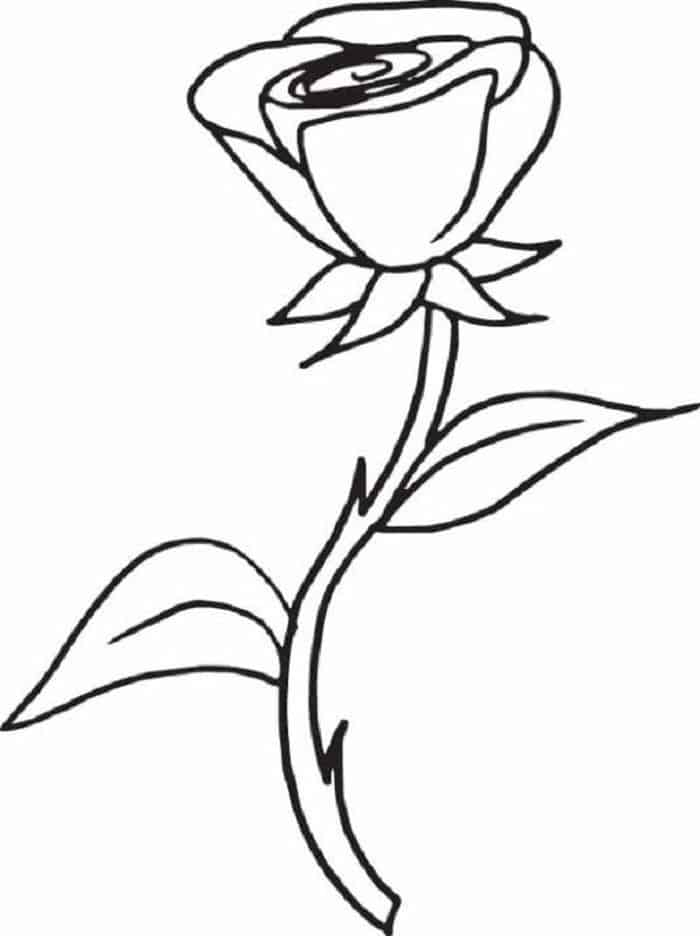 Rose Coloring Pages Printable