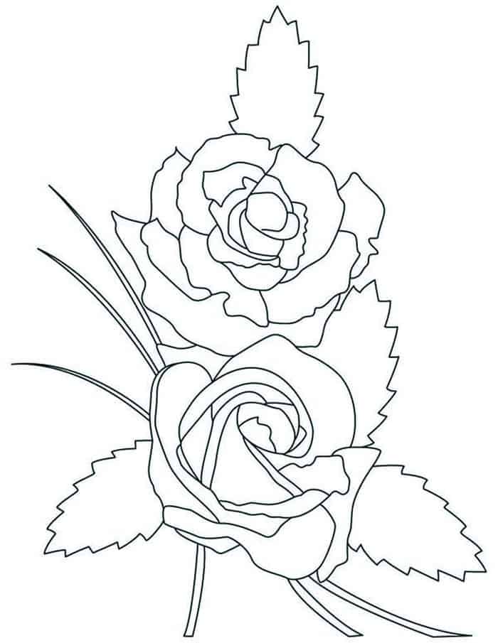 Rose Coloring Pages To Print