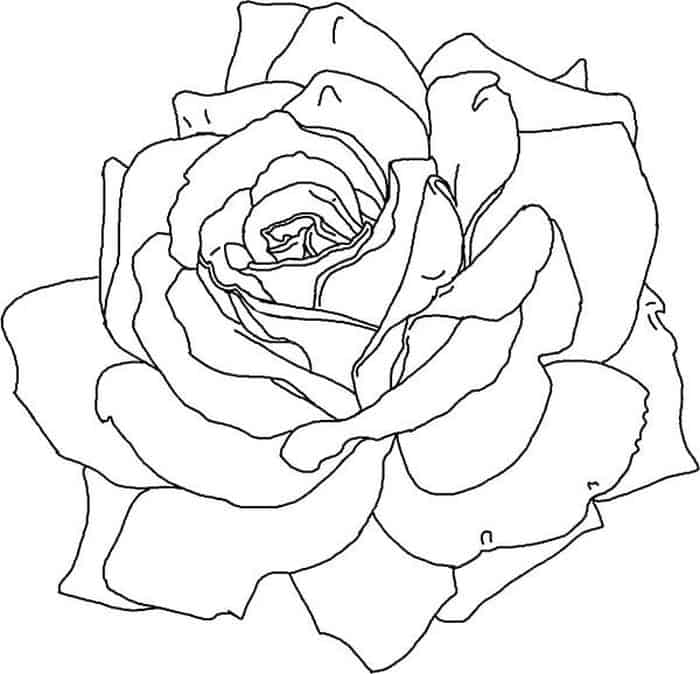 Rose Petal Coloring Pages
