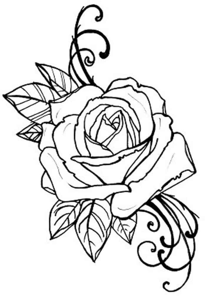 Rose Printable Coloring Pages