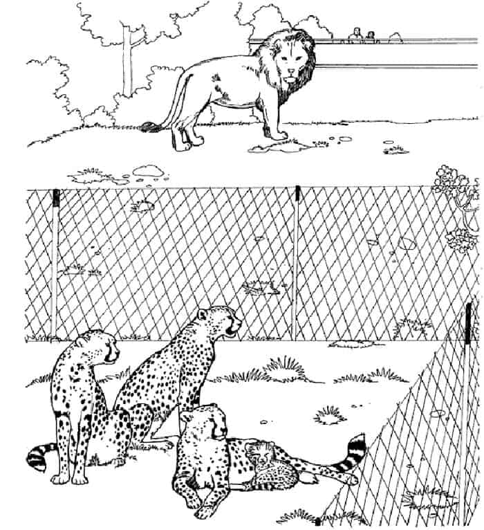 San Diego Zoo Coloring Pages