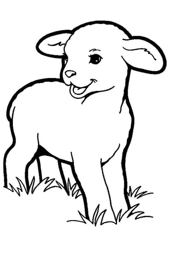 Sheep Coloring Pages Printable