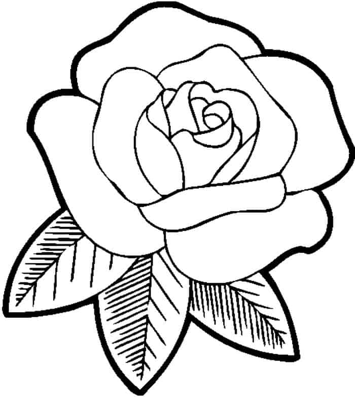 Simple Rose Coloring Pages