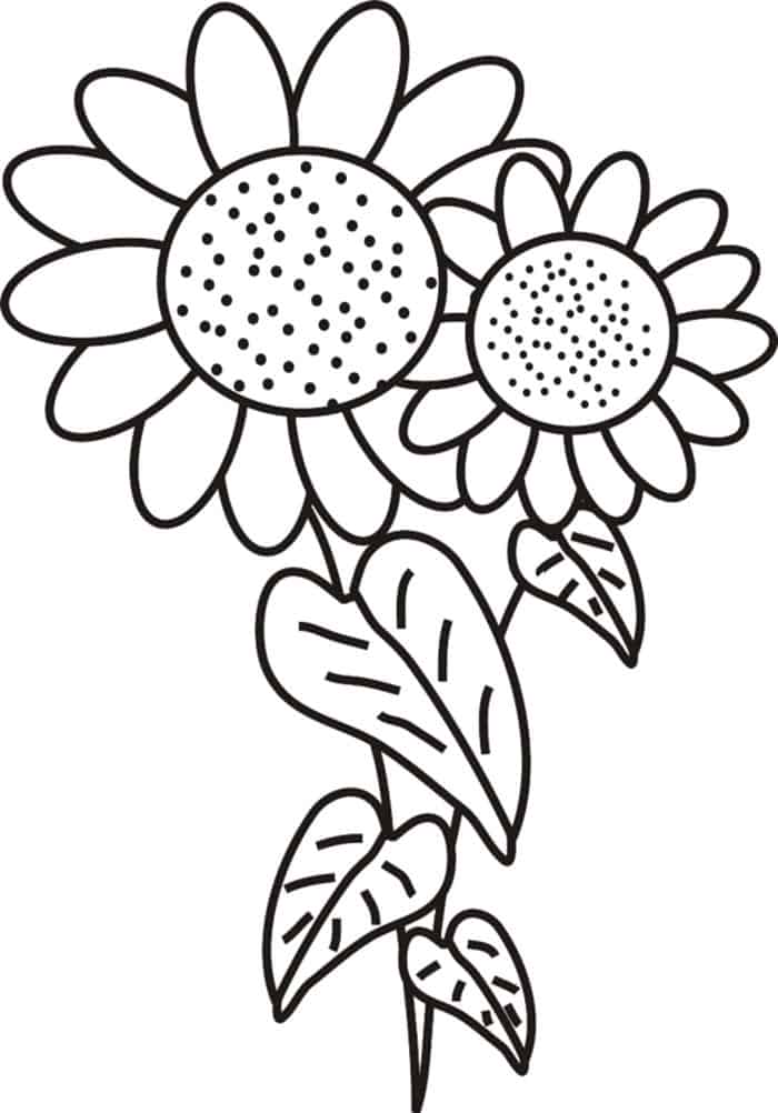 Simple Sunflower Bouquet Coloring Pages Free