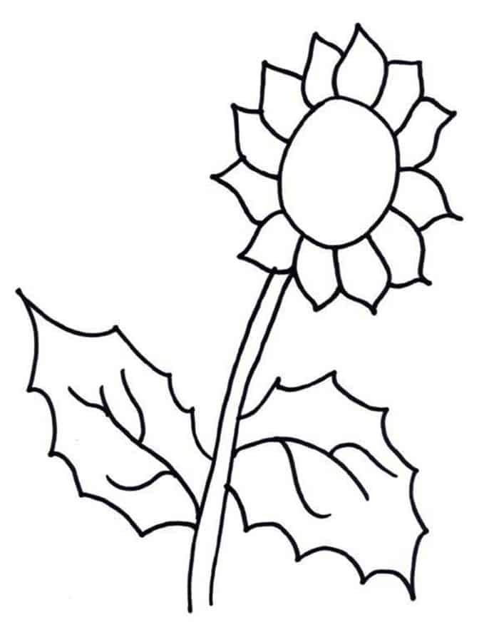 Simple Sunflower Coloring Pages