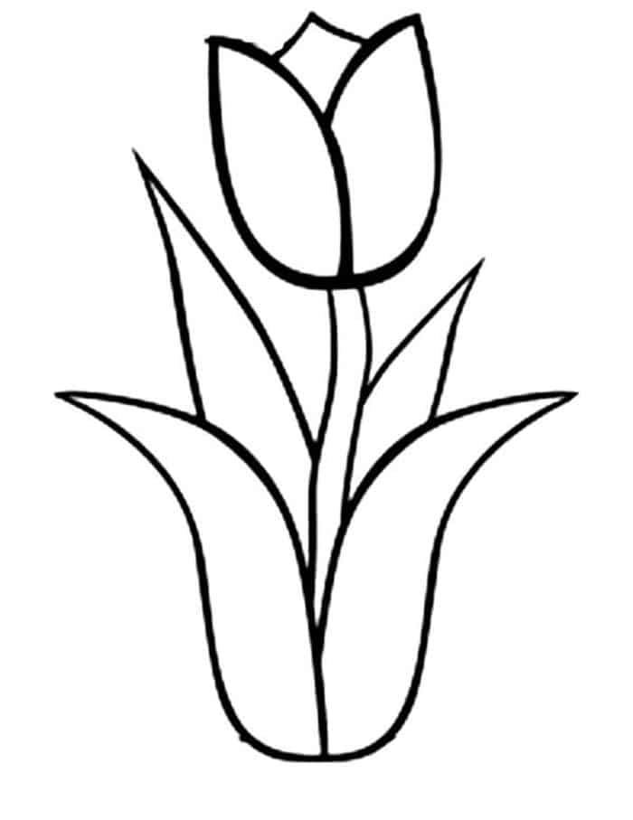 Small Tulip Border Coloring Pages