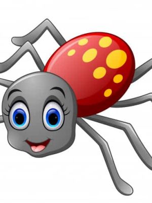 Spider
