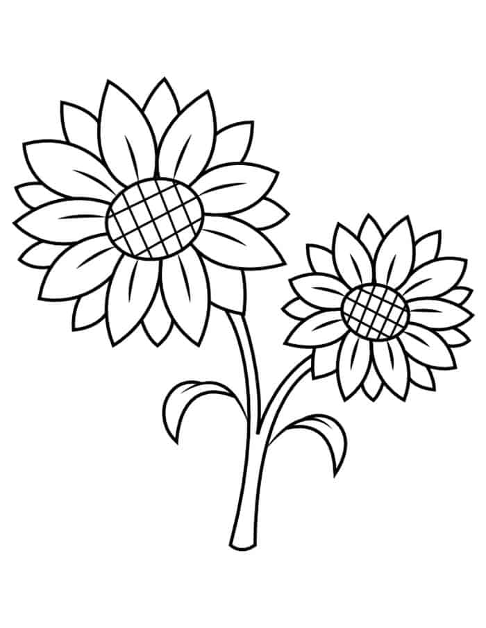 Sunflower Coloring Pages For Kids