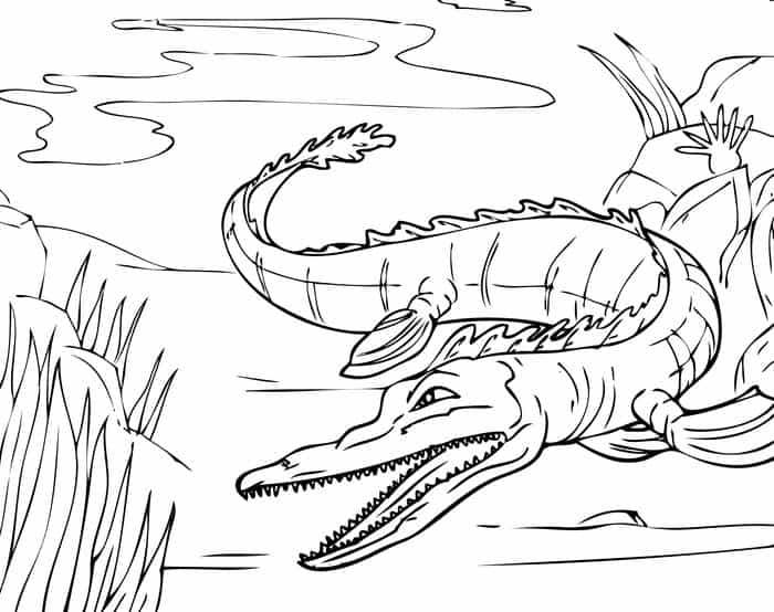 Thick Knee Bird Crocodile Coloring Pages