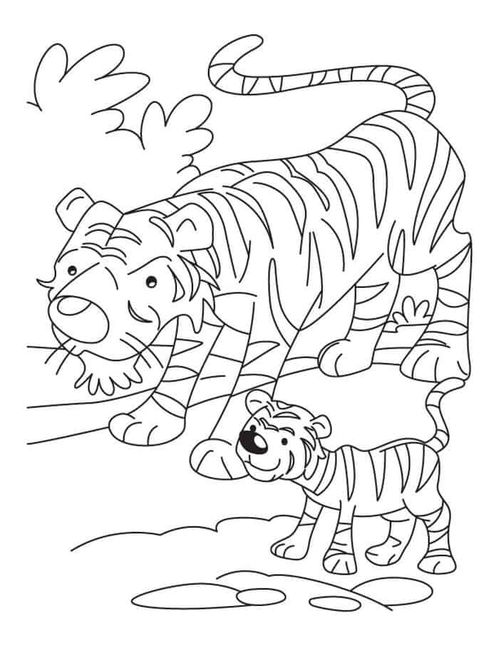 Tiger Coloring Pages