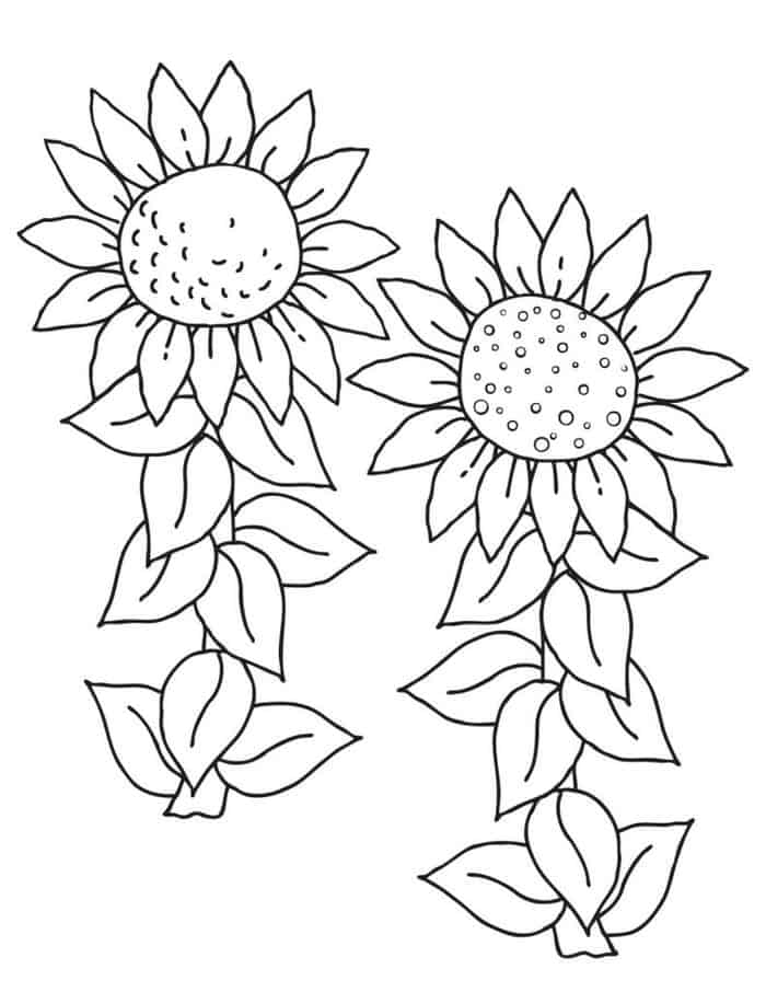 Tropical Flowers Coloring Pages