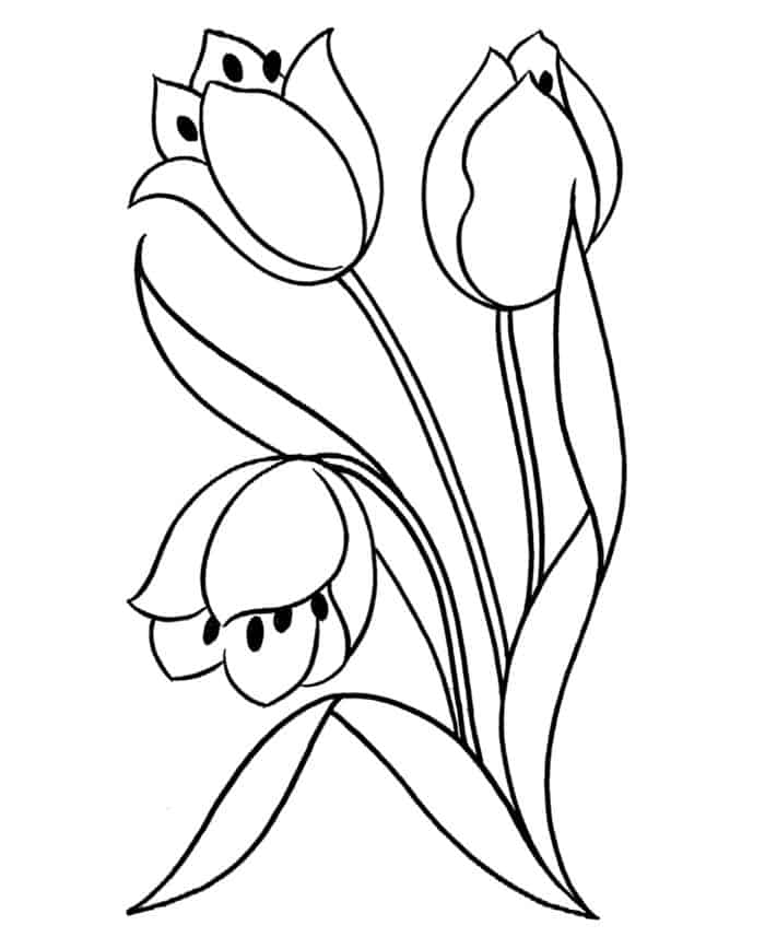 Tulip Adult Flower Coloring Pages