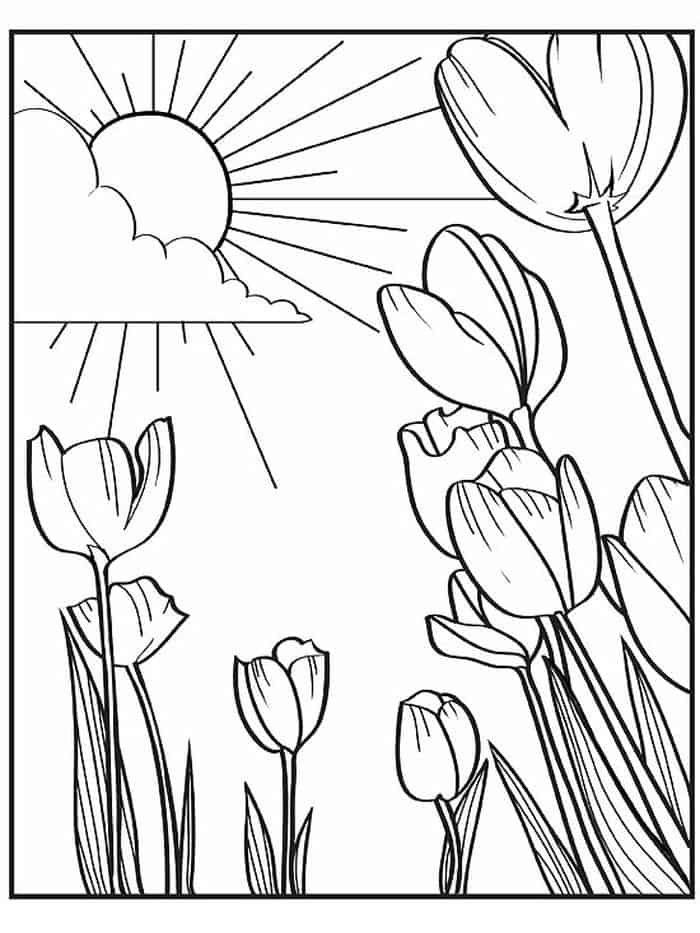 Tulip Mandala Coloring Pages