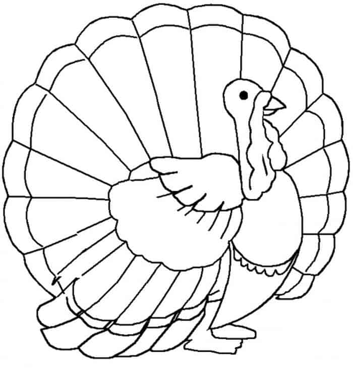 Turkey Coloring Pages