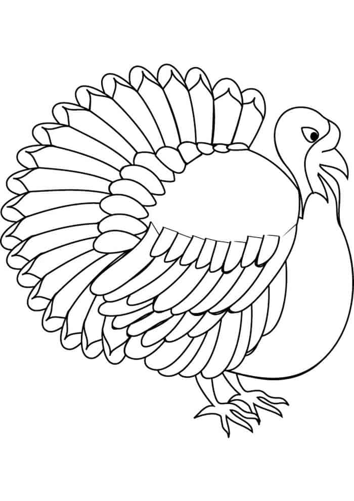 Turkey Vulture Coloring Pages