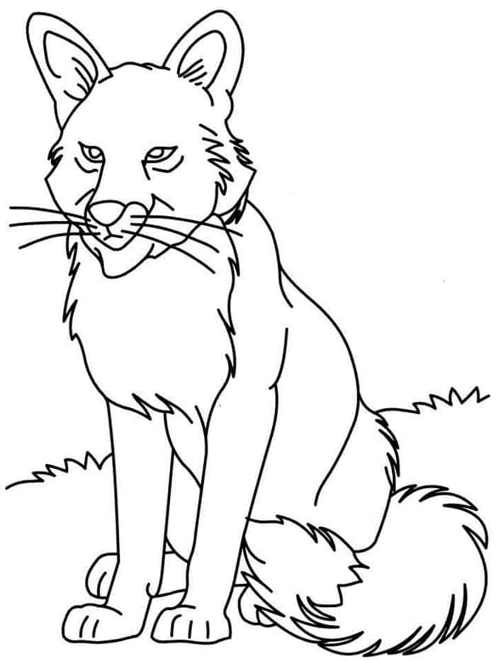 Wolves Coloring Pages Howling