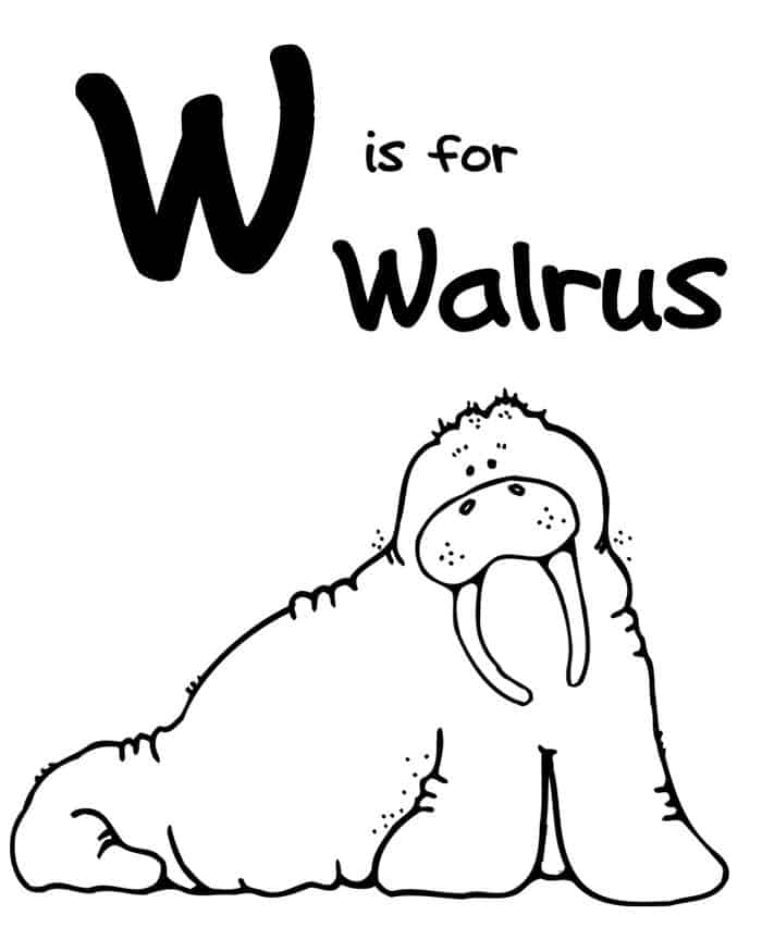Zoo Animal Coloring Pages Preschool
