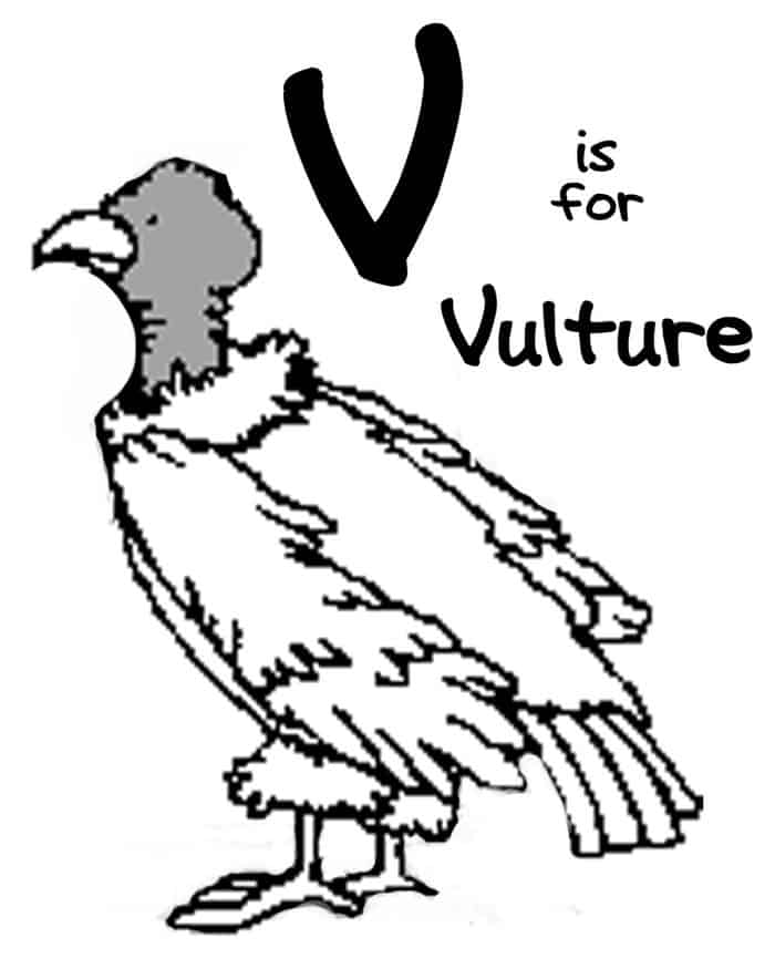 Zoo Animal Coloring Pages Printable