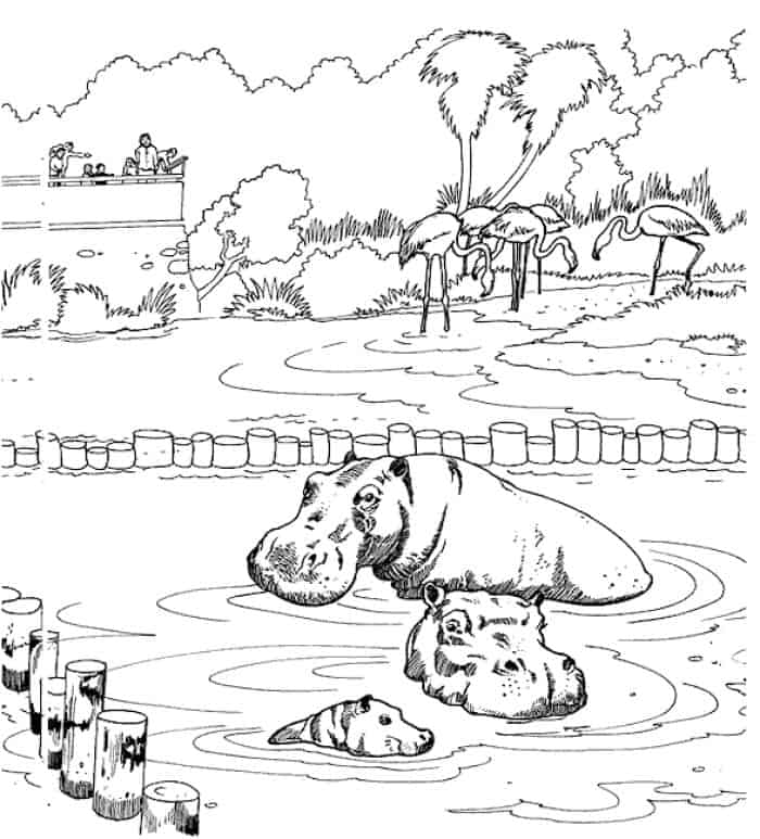 Zoo Animals Coloring Pages
